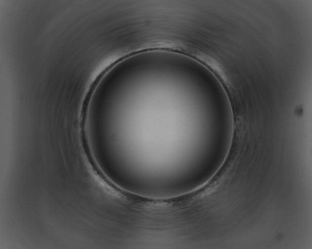 X0000091701135200708241217