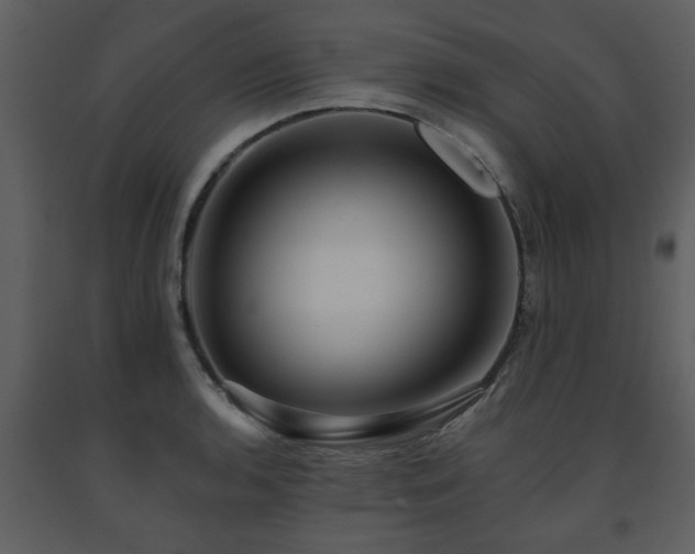 X0000091701136200708241217