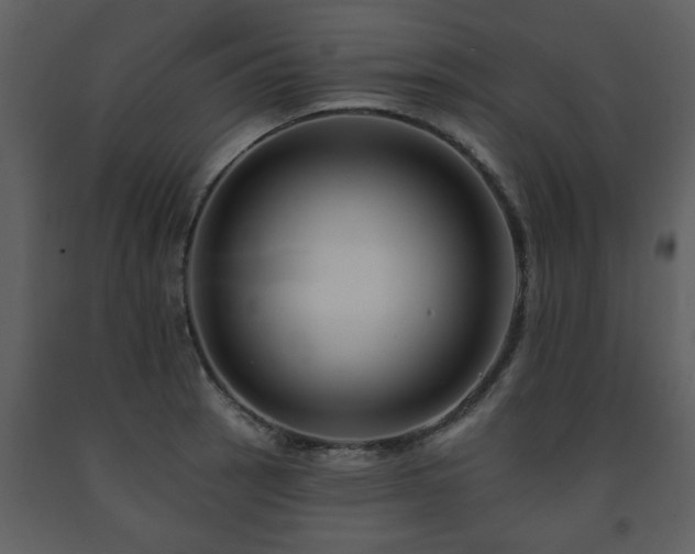 X0000091701137200708241217