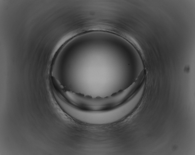 X0000091701138200708241217
