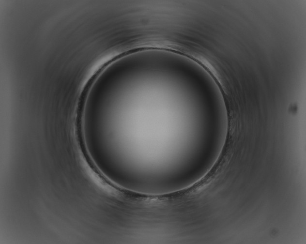 X0000091701139200708241217