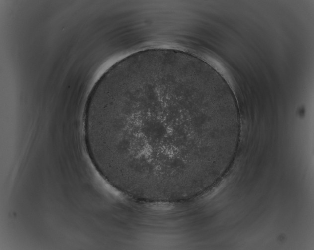 X0000091701141200708241217
