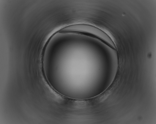 X0000091701142200708241217