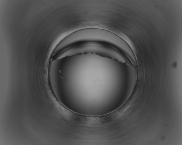 X0000091701144200708241217