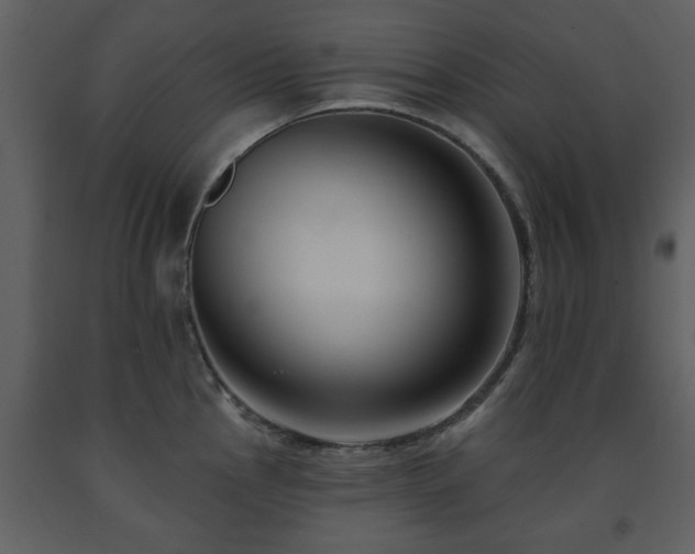 X0000091701145200708241217