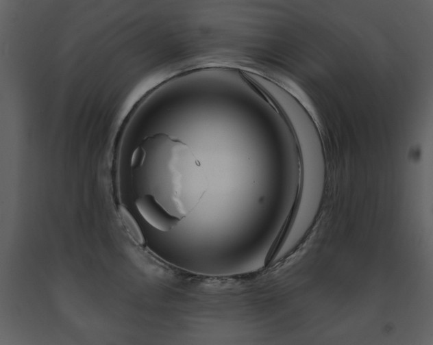 X0000091701146200708241217