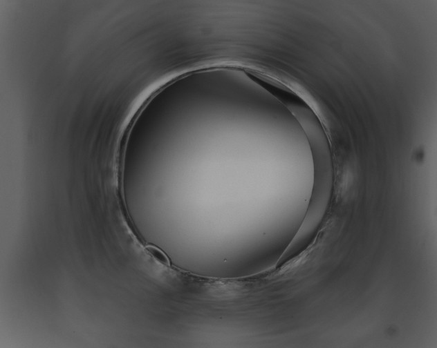 X0000091701148200708241217