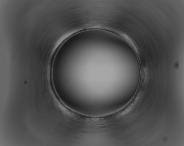X0000091701149200708241217