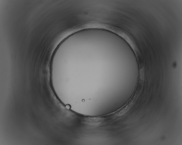 X0000091701150200708241217