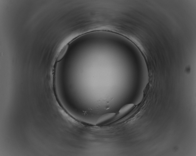 X0000091701151200708241217