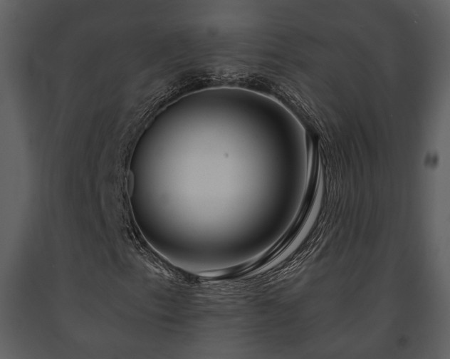 X0000091701153200708241217