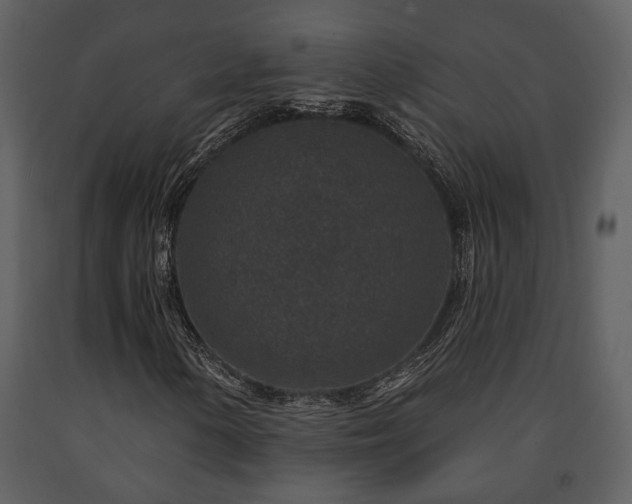 X0000091701154200708241217