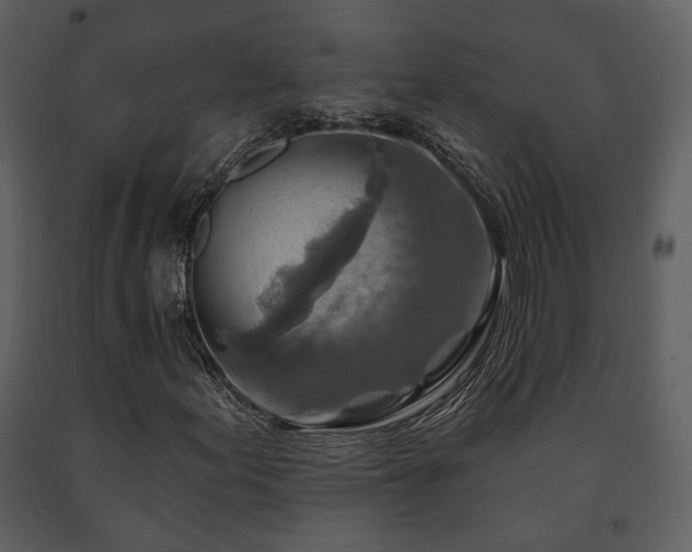 X0000091701155200708241217