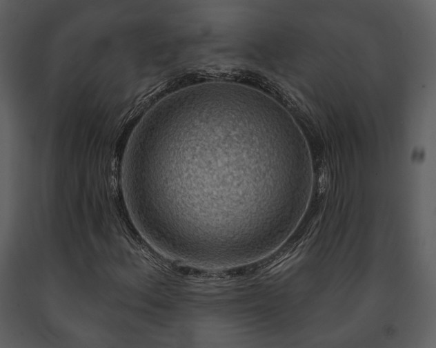 X0000091701156200708241217