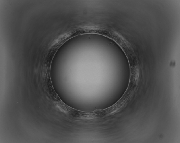 X0000091701157200708241217