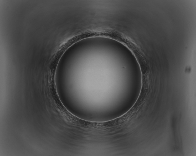 X0000091701158200708241217