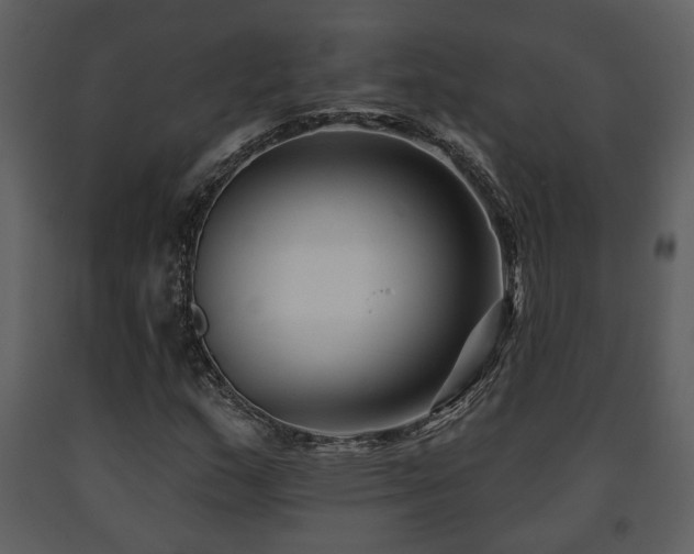 X0000091701159200708241217