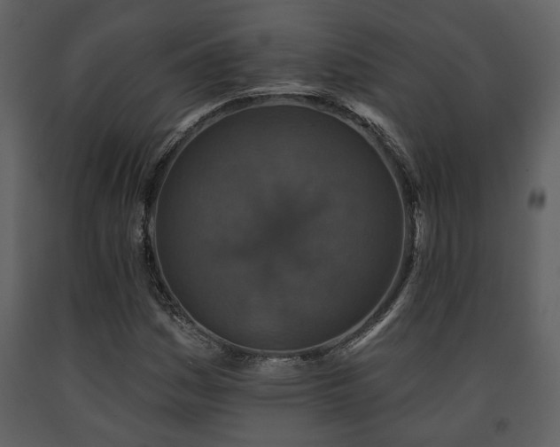 X0000091701161200708241217