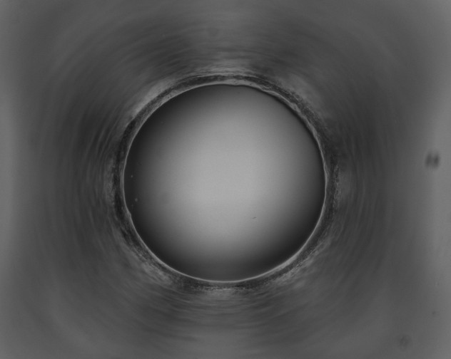 X0000091701162200708241217