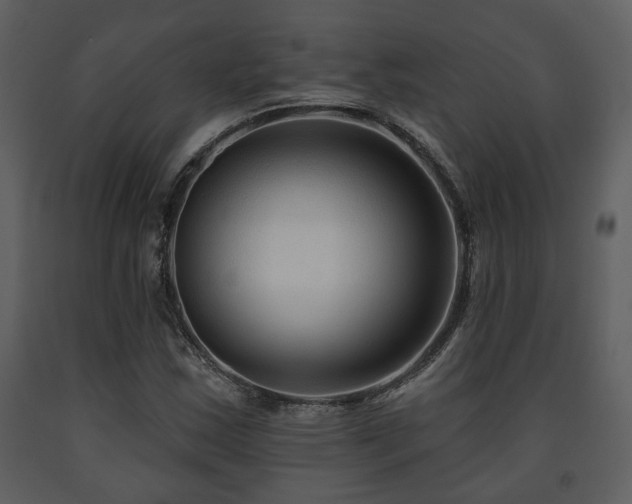 X0000091701163200708241217
