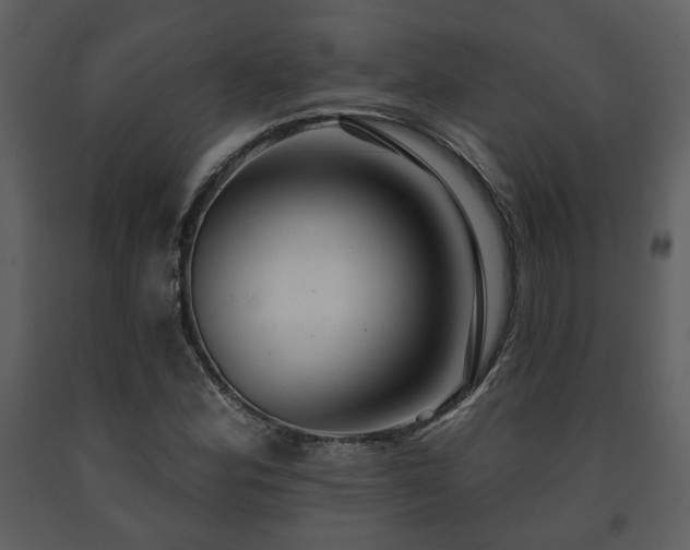 X0000091701164200708241217