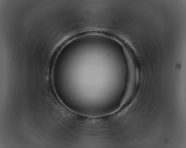 X0000091701165200708241217