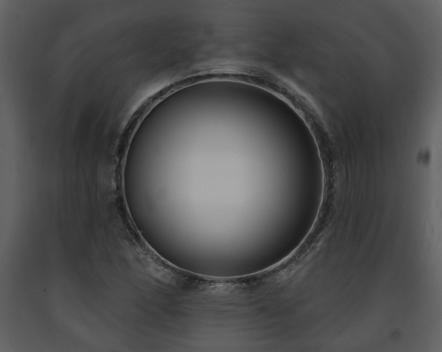 X0000091701166200708241217