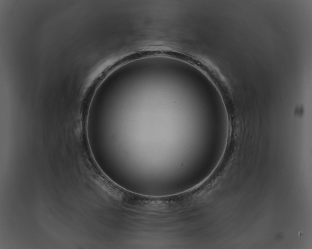 X0000091701167200708241217