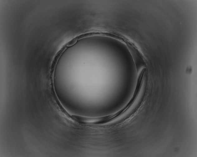 X0000091701168200708241217
