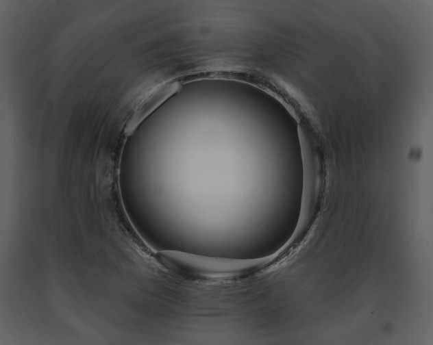 X0000091701169200708241217