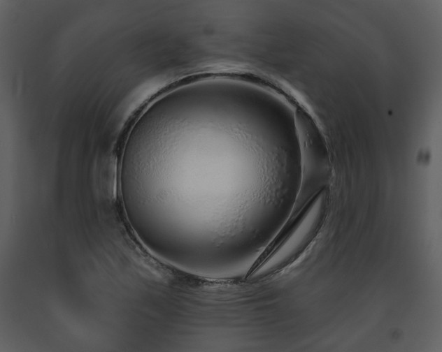X0000091701171200708241217