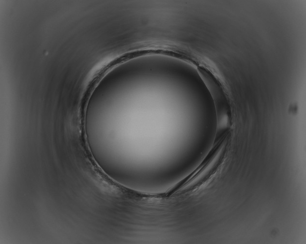X0000091701172200708241217