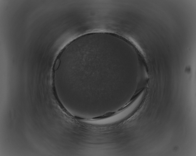 X0000091701173200708241217