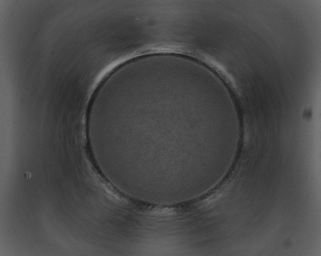 X0000091701174200708241216