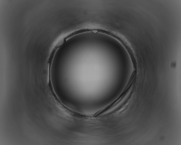 X0000091701175200708241216