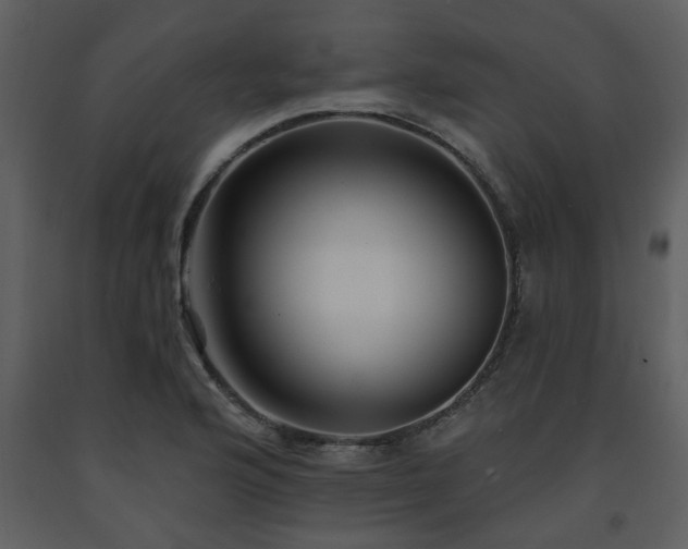 X0000091701176200708241216