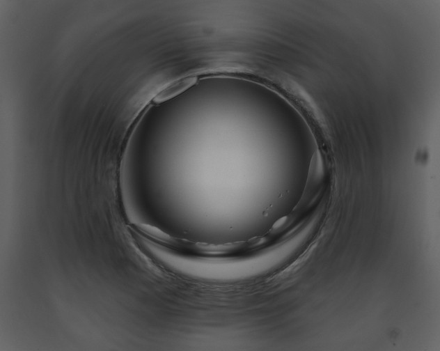 X0000091701177200708241216