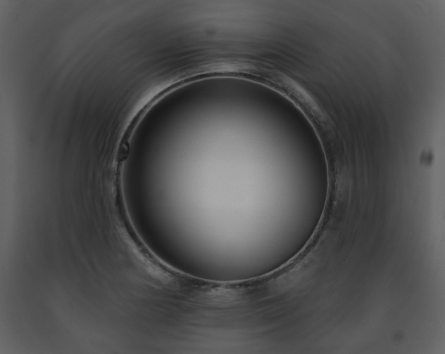 X0000091701178200708241216