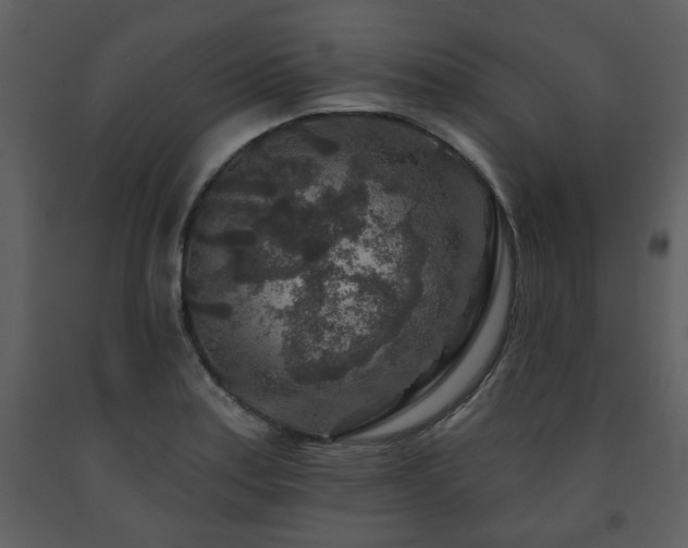 X0000091701179200708241216