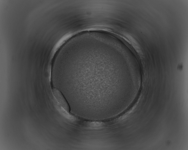 X0000091701180200708241216