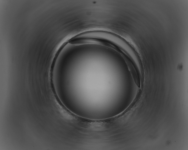 X0000091701181200708241216