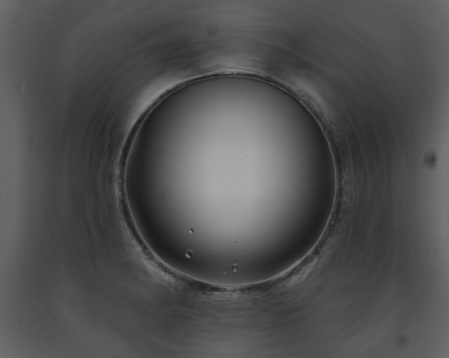 X0000091701182200708241216
