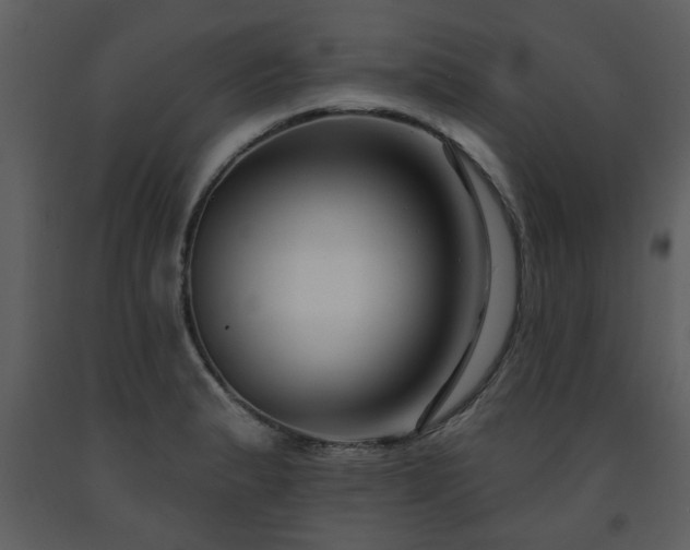 X0000091701183200708241216