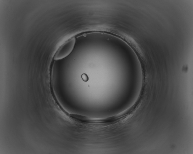 X0000091701184200708241216