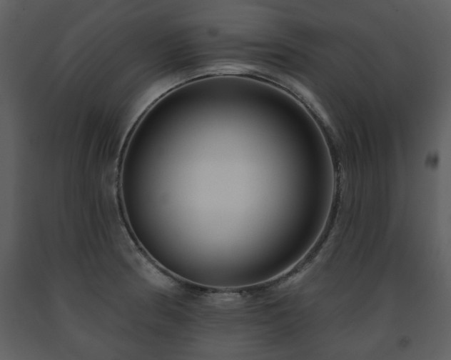 X0000091701186200708241216