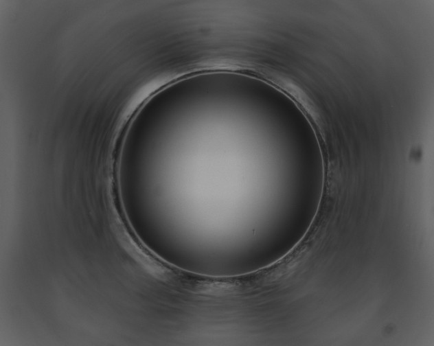 X0000091701187200708241216