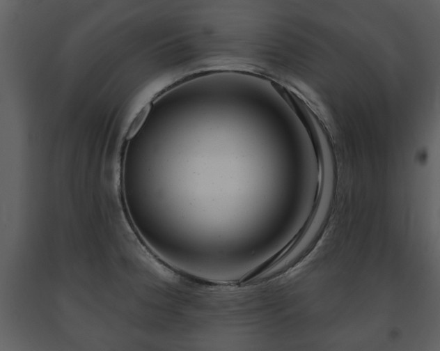X0000091701188200708241216