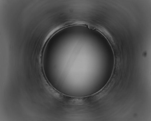X0000091701190200708241216