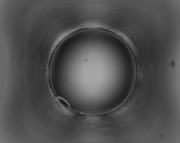 X0000091701191200708241216