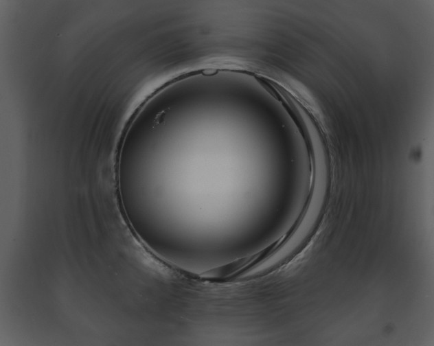 X0000091701192200708241216